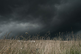 A golden field before the storm. Hermitage of Sant’Egidio. Molise.