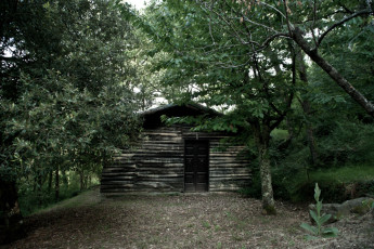 One of the small houses in the woods surrounding the hermitage of San Pietro alle Stinche, founded 1967 by Father Giovanni Maria Vannucci, an Italian presbyter and theologian who lived there until his death in 1984. Tuscany.